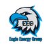 Eagle Energy Group - Executie instalatii electrice